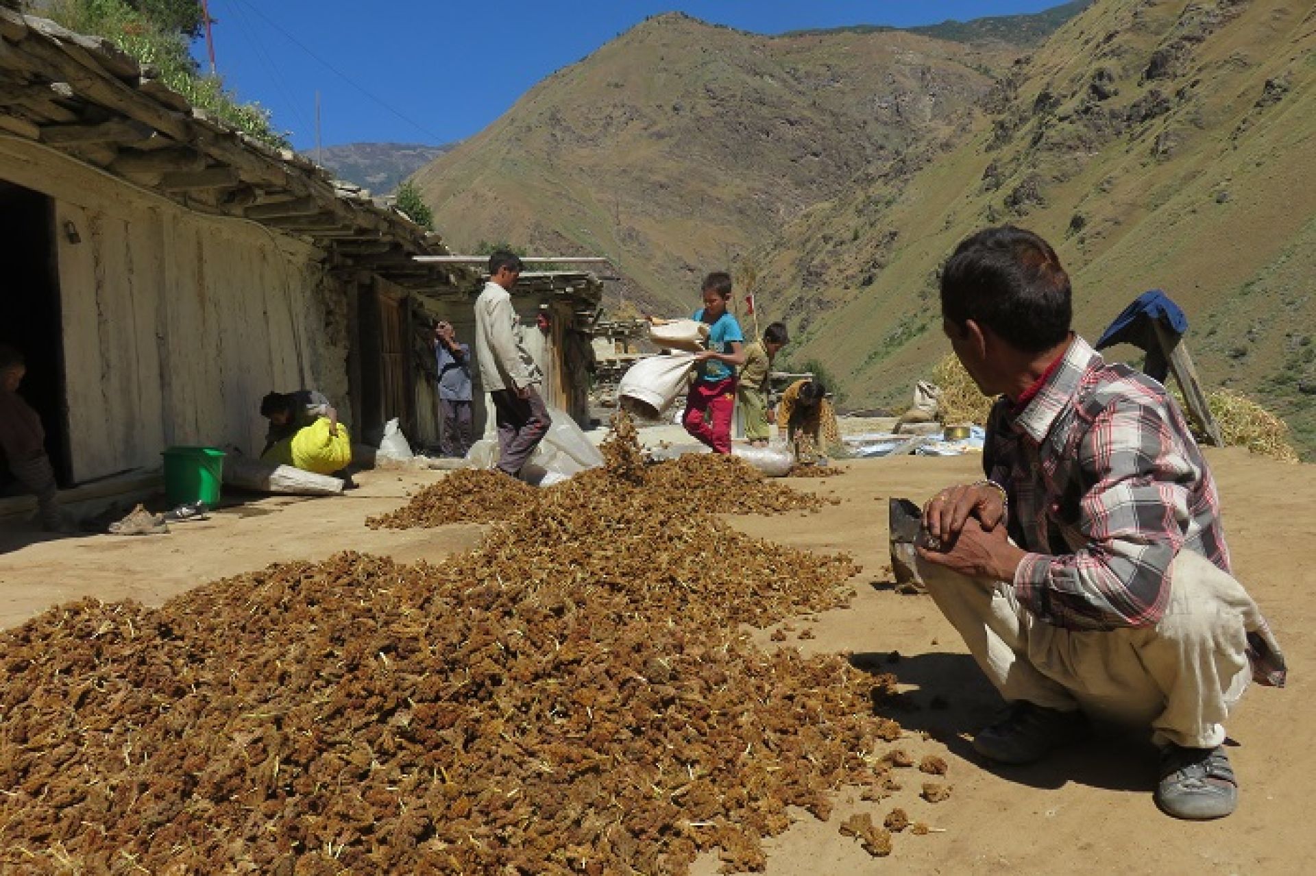 सङ्कटमा रैथाने स्रोत, बीउ जोगाउँदै बैङ्क !